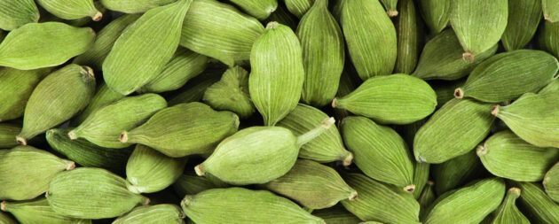 Cardamomo, Tesoro verde - Cardamomo Ecuador